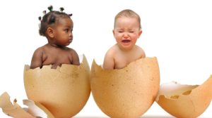 Before is missing - two cute babies in broken eggshells