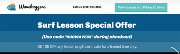 Wavehuggers, as seen in this website screenshot, offer their clients a limited time discount to get them to act quickly as a one of their holiday marketing ideas. 